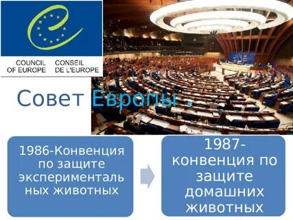 Конвенция 18