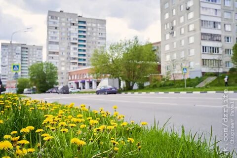 Улица газон