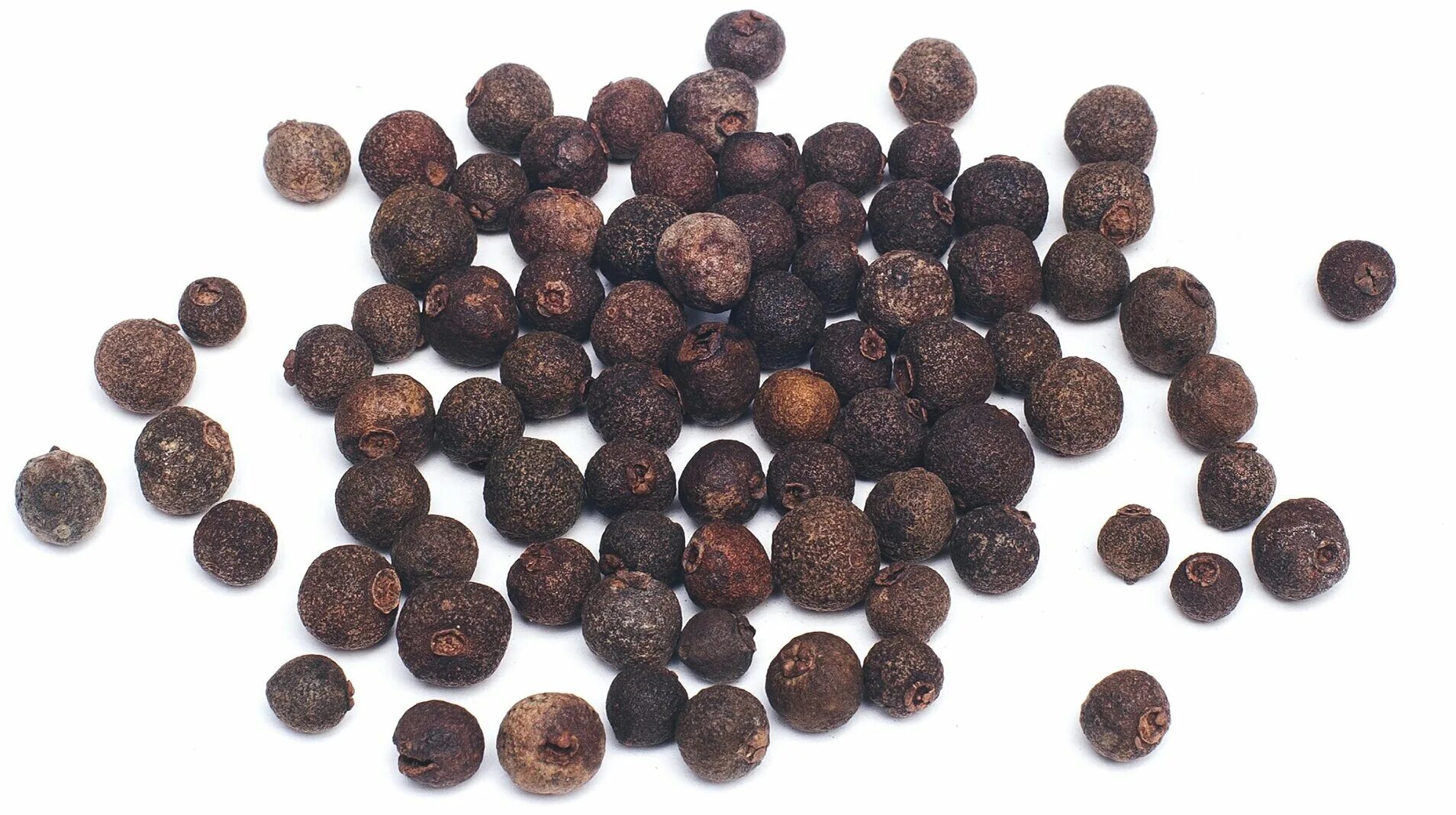 Черный душистый. Перец черный душистый. Перец (душистый горошек) ямайский. Растения белый перец душистый. Черный душистый.