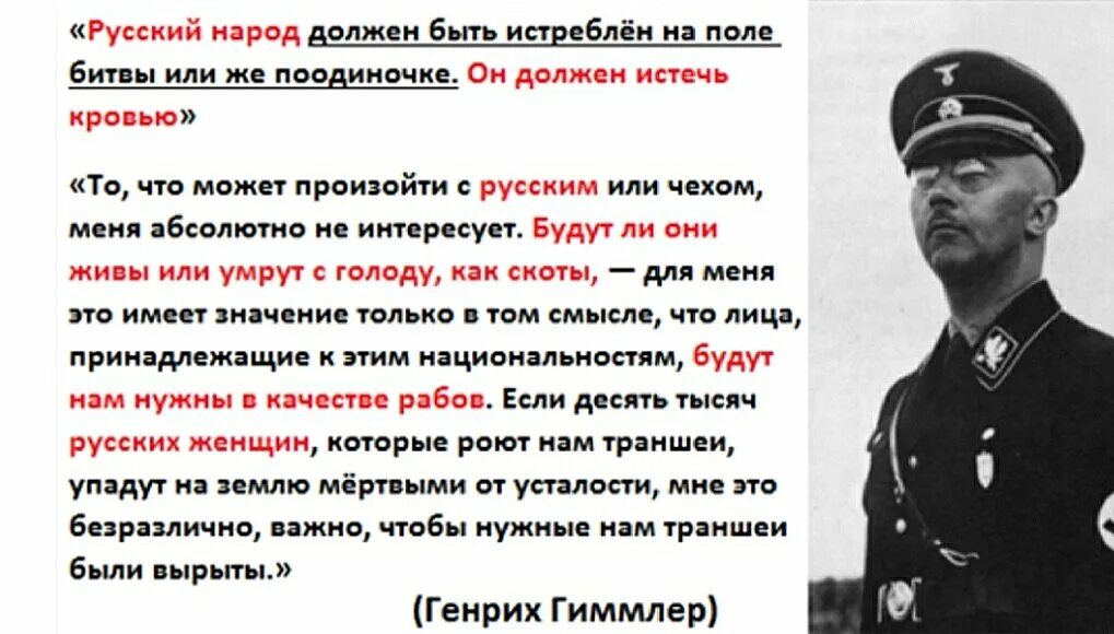 Почему на допросе у мюллера. Нацистские высказывания. Высказывания фашистов. Высказывания про нацистов. Гиммлер о славянах.