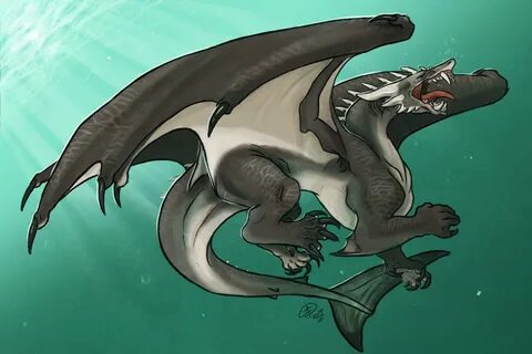 Shark dragon