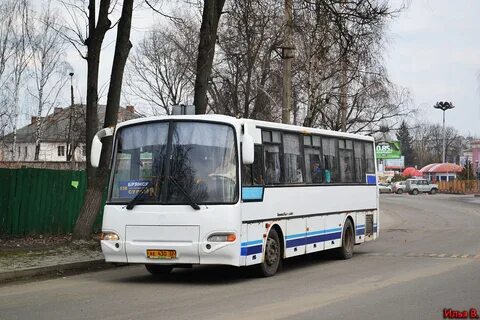 Брянск сураж автобус