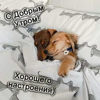 Доброе утро не смотря