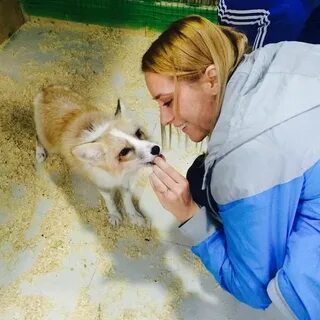 Контактный зоопарк видное