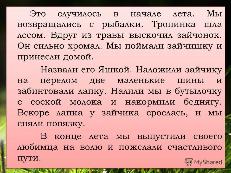 Смешной случай из жизни 6 класс кратко. Сочинение про лес. Сочинение на тему забавный случай. Сочинение на тему случай в. Написать небольшой рассказ.