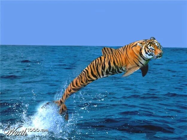 ArtStation - The tiger in the water