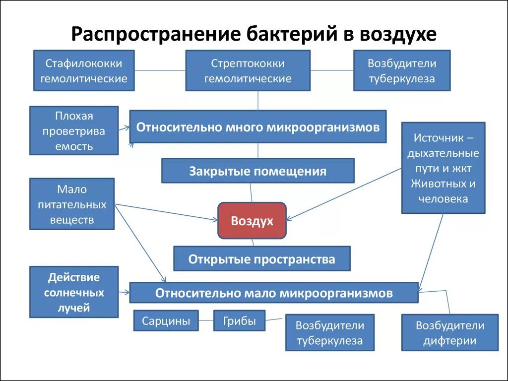 Распространение микроорганизмов в окружающей среде схема. Распространение микроорганизмов в природе. Распространение микроорганизмов в воздухе. Распространенность микроорганизмов в природе.