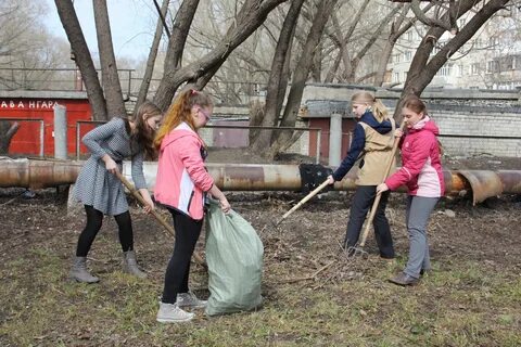 Двора в действии