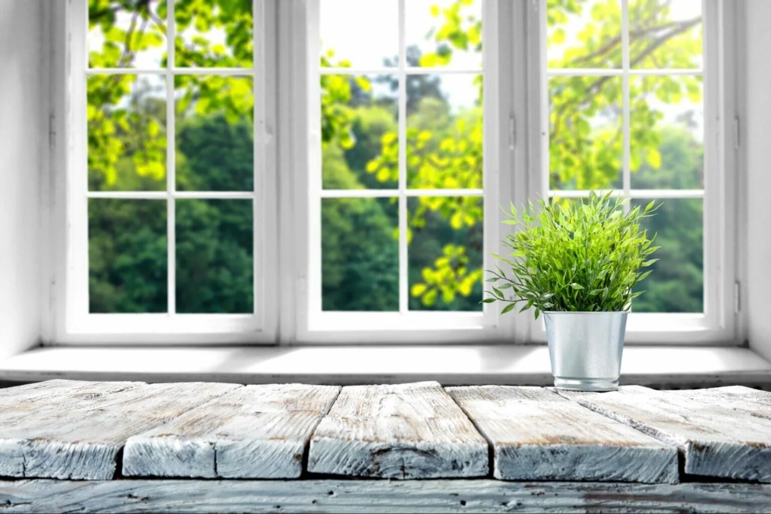 Tree window