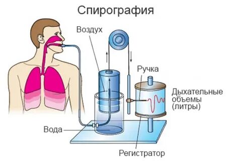 Сделать спирографию