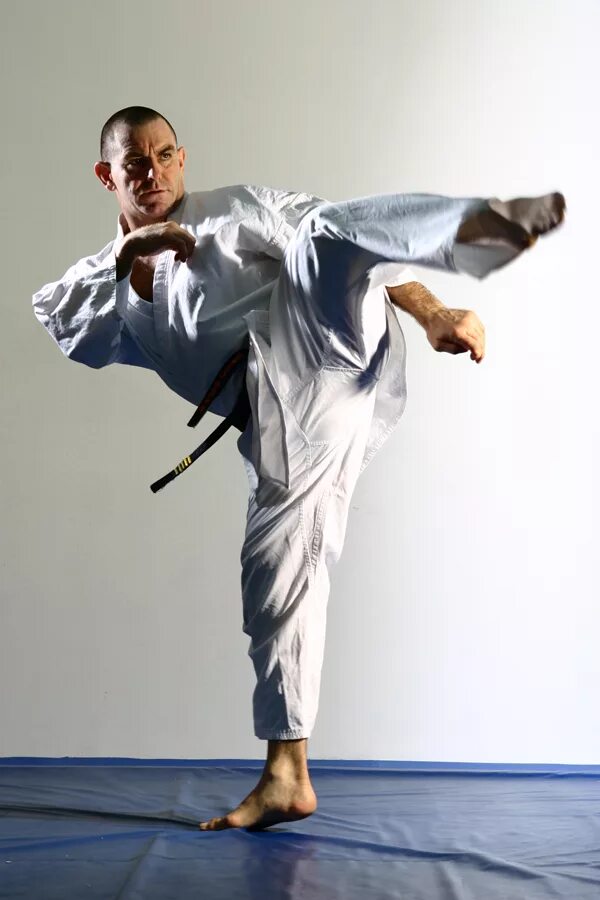 Action логотип вектор. Arun vijay mafia. Фотосессия карате. Arun vijay mafia. Карате.