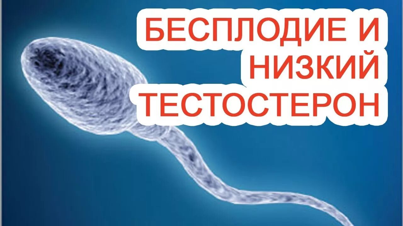 Мужское бесплодие. Тестостерон низкий у мужчин бесплодие. Бесплодие при низком тестостероне у мужчин. Бесплодие от тестостерона. Бесплодие ростов