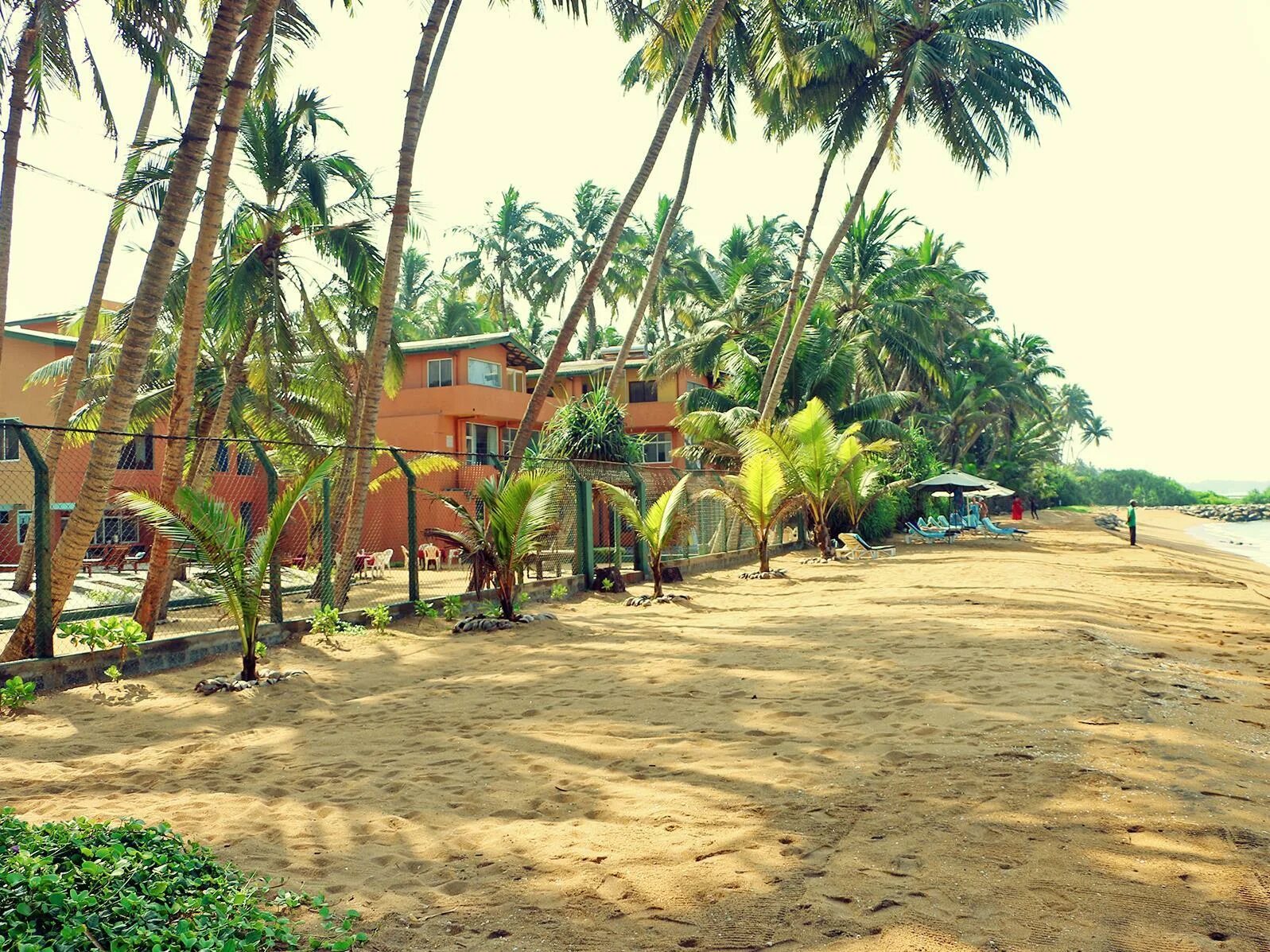 Отель Рой вилла Шри Ланка. Roy Villa Шри Ланка Beach. Берувела Шри Ланка. Roy Villa 2 Берувела Бентота. Beruwala шри ланка