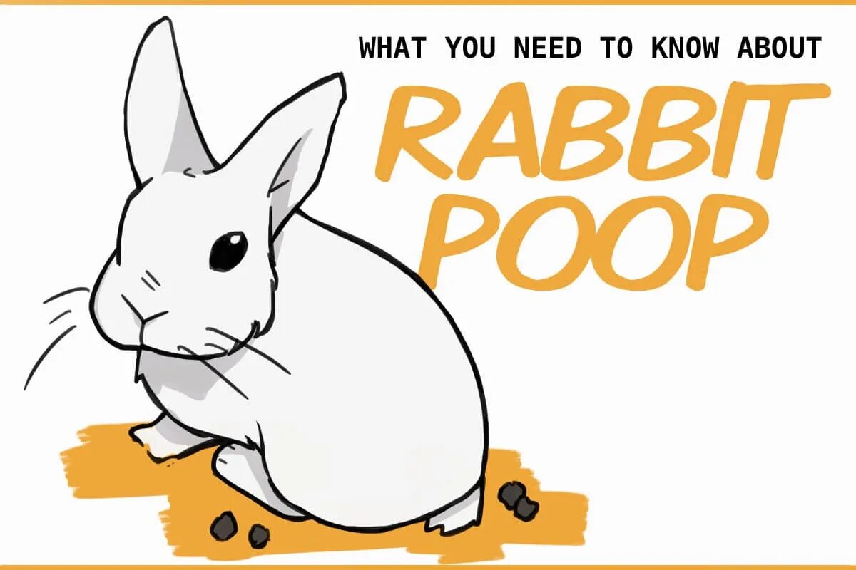There is a rabbit. Rabbit poop. a rabbit to wash. it bunny eat game.