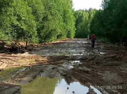 Погода оньмесь