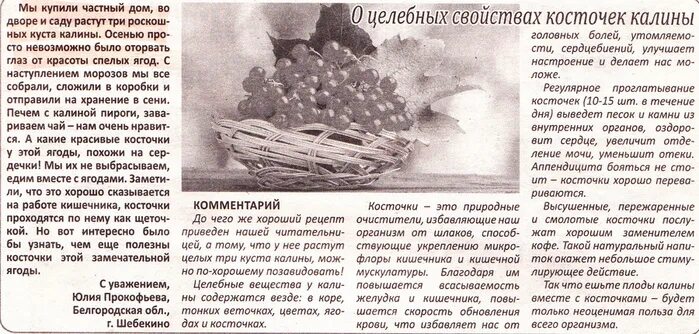 Семена калины красной. Джем из калины. Калина семена косточки. Калина замороженная. Можно ли есть косточки калины красной.