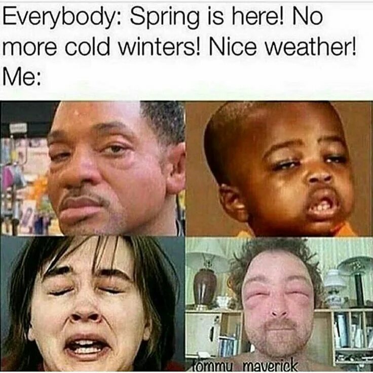 Мемы про аллергиков. Аллергия Мем. Аллергия смешные картинки. Мем про аллергиков весной.
