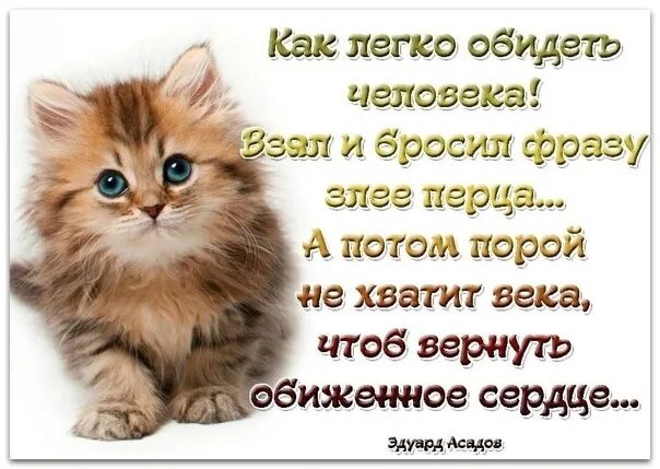 Обидеть или обидить как. Обидеть легко. Обидеть легко цитата. Как легко обидеть человека взял. Легко обидеть человека стихи.