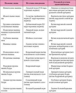 Мышцы головы анатомия таблица
