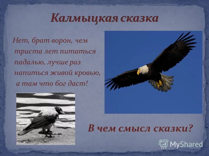 Сказка капитанская дочка. Однажды орел спрашивал у ворона скажи ворон-птица. Чем всю жизнь питаться падалью. Девушка с черными крыльями. Чем всю жизнь питаться падалью.
