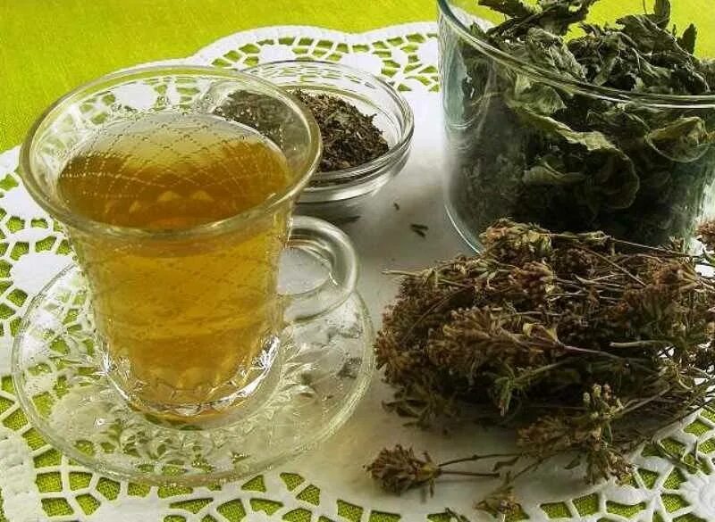 Польза чая для печени. Чай мята зверобой чабрец. Чай на травах. Настой из трав. Травяной отвар.