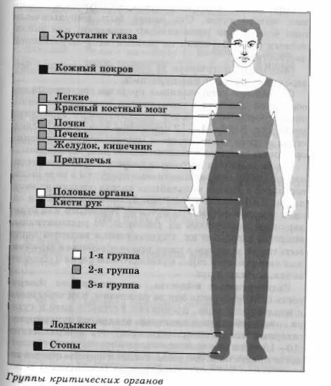 Группы критических органов в ОБЖ. Группы критических органов при облучении радиацией. Три группы критических органов. Группы критических органов