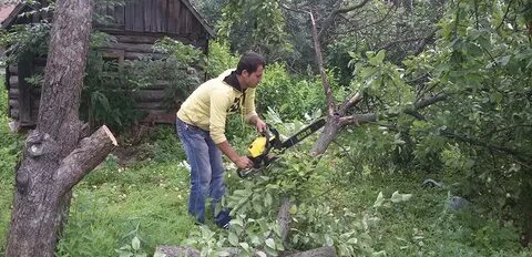Вырубка кустарников