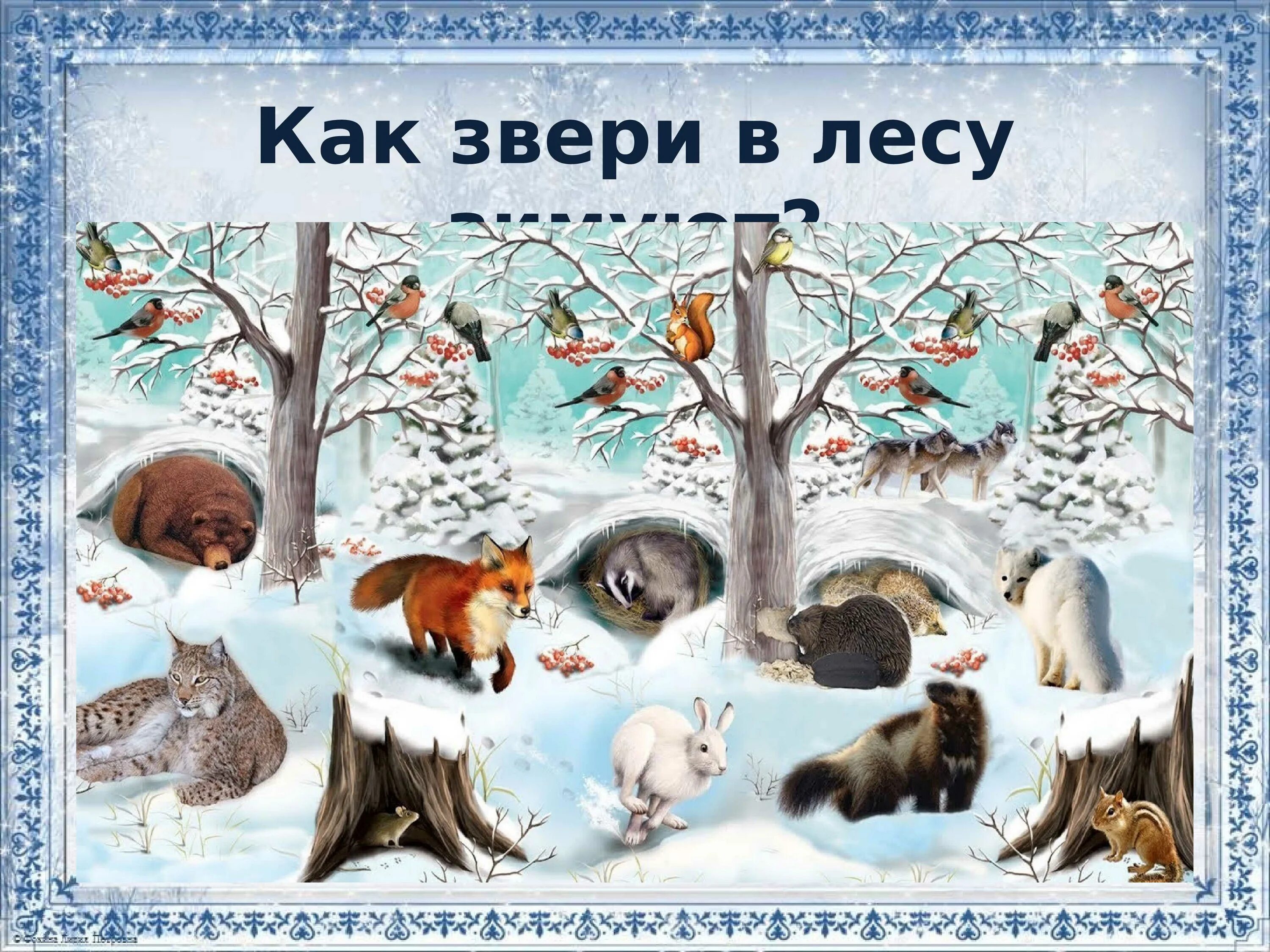 Жизнь животных зимой подготовительная группа. Жизнь животных зимой подготовительная группа