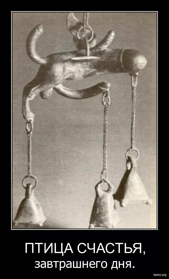 Картинка, жаль, что птицы счастья завтрашнего дня не летают. Жаль что птицы счастья завтрашнего дня не летают через наши еbеня. Птица счастья завтрашнего дня. Птица счастья юмор. Птица счастья - птица счастья завтрашнего дня.