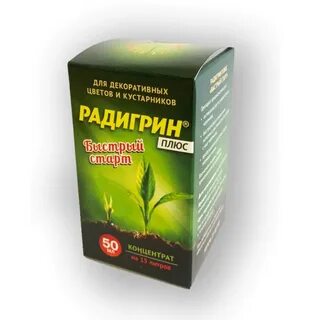 Быстро плюс