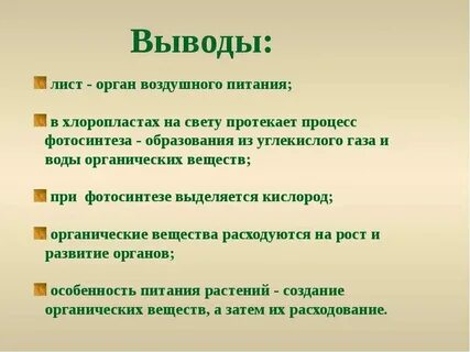Зеленый лист орган воздушного