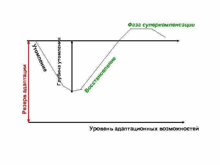 4 фазы нагрузки