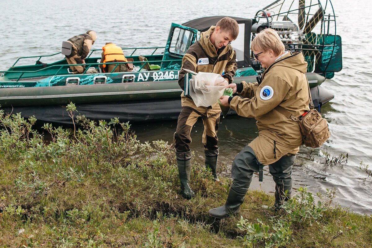 Внешнее строение ластоногих. Полевой этап фото для презентаций. Водные млекопитающие дышат с помощью:. Отряд крокодилы. Американский ламантин trichechus manatus.