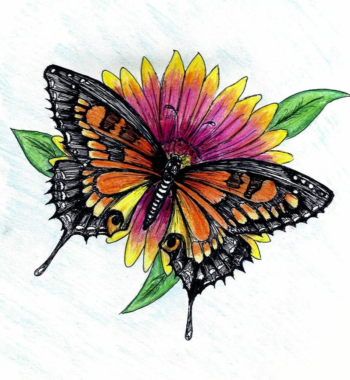 Бабочка на цветке рисунок. Бабочки на цветах рисунки. Бабочки рисунки цветные. Цветы цветными карандашами.