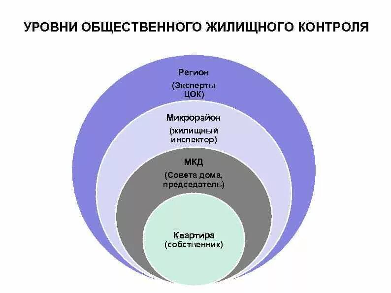 Уровни социального контроля. Общественный жилищный контроль. Уровни социально контроля в управлении. Структура общественного контроля ЖКХ. Общественный контроль и оценка