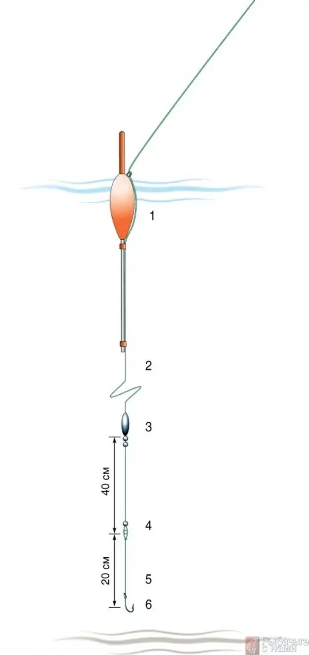 Оснастка маховой поплавочной удочки на карася. Оснастка поплавочной удочки с катушкой для дальнего заброса. Как правильно собрать снасть на поплавочной удочке. Оснастка скользящего поплавка матчевой. Поплавочная снасть для ловли карася.