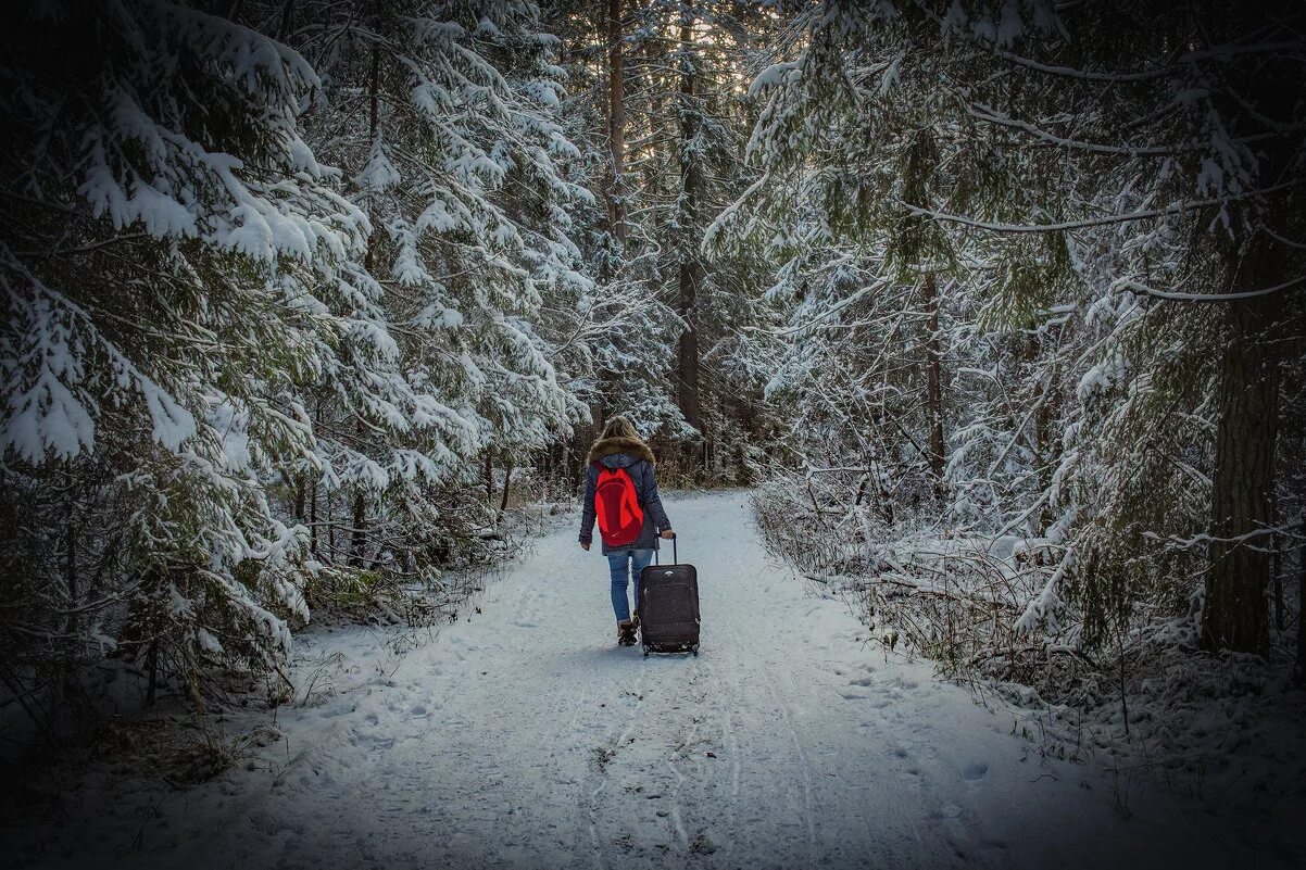 Прогулка в одиночестве. Девушка идет по дороге. Идти по заснеженной дороге. Тропинка в снежном лесу. Девушка с чемоданом зимой.