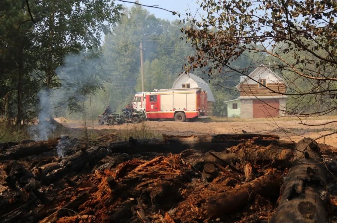 Площадь пожаров сегодня