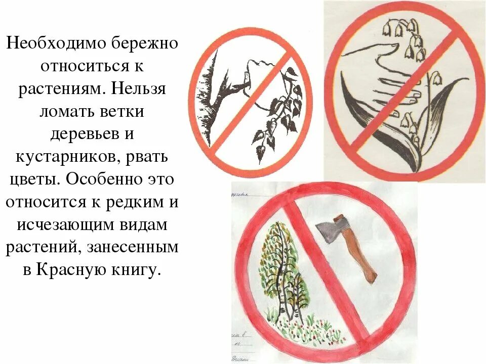 Тема охрана растений. Тема охрана растений