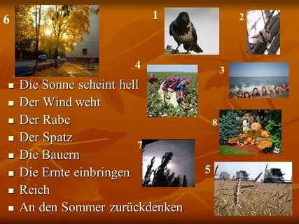 Der wind