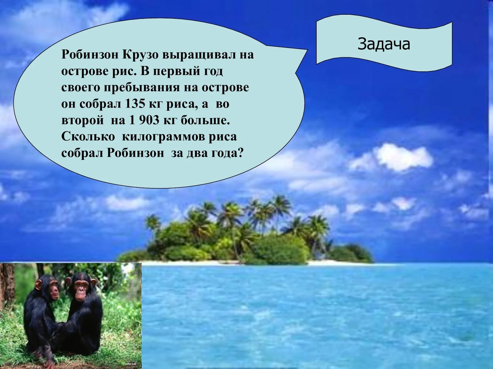 Сколько робинзон крузо был на острове. Что выращивал Робинзон Крузо на острове. Задача про Робинзона Крузо. Пребывать на острове. Какие культуры выращивал Робинзон Крузо на острове.