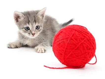 Котенок и клубок ниток рассказ