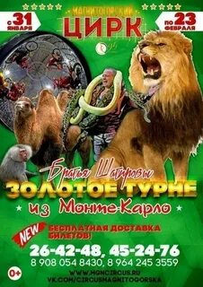 Цирк магнитогорск расписание сегодня