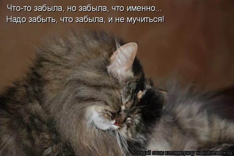 Когда все хотят. Как выглядят мемы. Не забывай. Спасибо за внимание люди в черном. Скелет роцк.