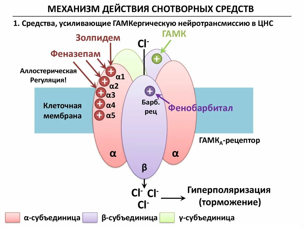 Снотворные механизм действия. Механизм действия барбитуратов схема. Механизм действия снотворным средствам. Механизм действия седативных средств схема. Механизм действия снотворных препаратов.