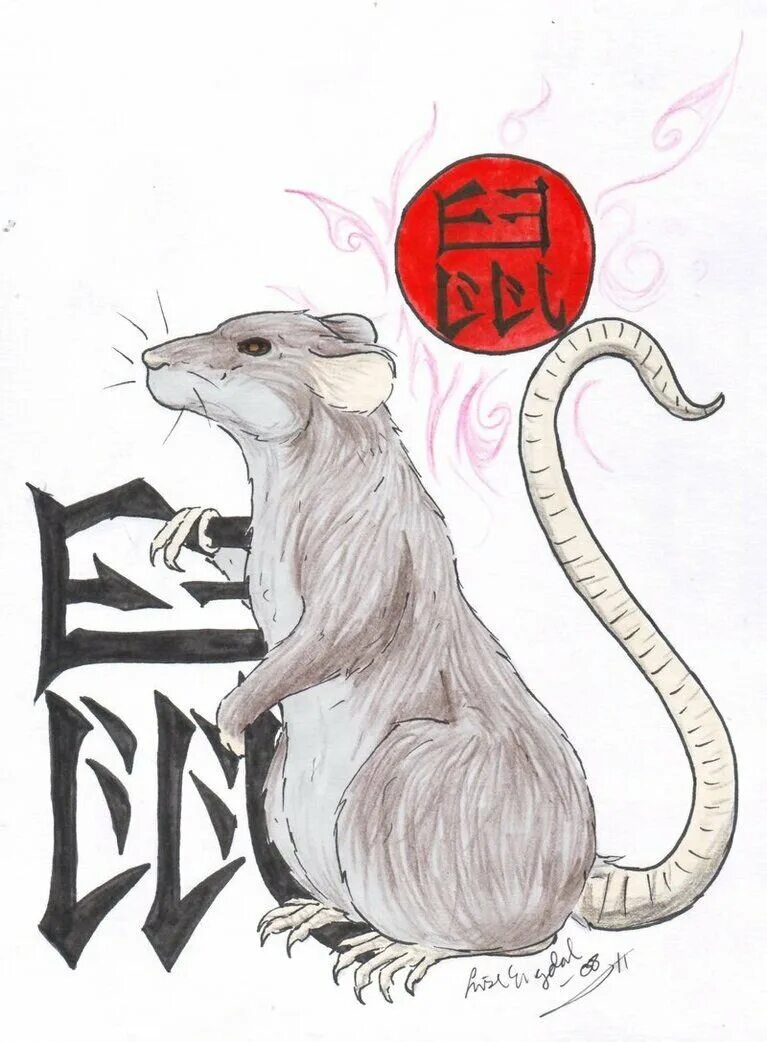 Крыса гороскоп. Крыса характеристика знака. Знаки зодиака год крысы. Китайский горском краса. 2020 год крысы.