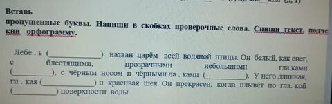 Проверочное слово к слову подставляли