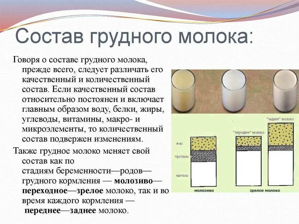 Что содержится в грудном молоке