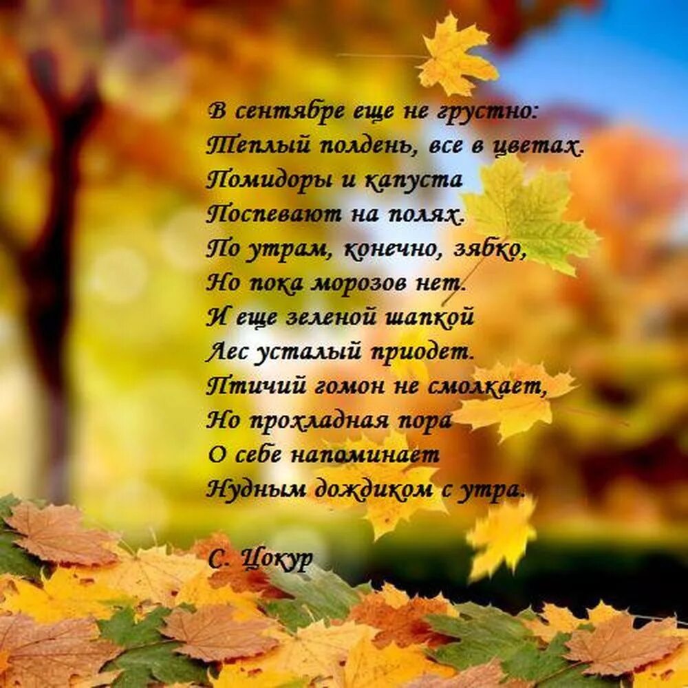 Стих сентябрь 4 класс 2. Стихи про осень. стихи про осень для детей. осенние стихи для детей. стихи про осень короткие и красивые.