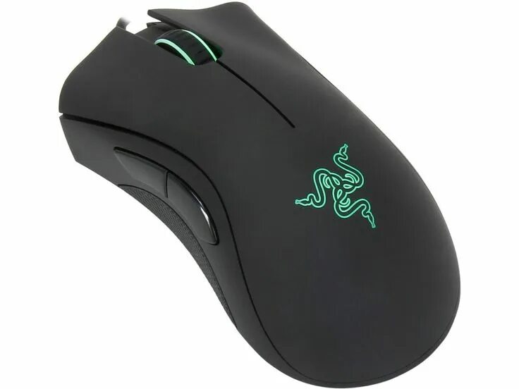 Mouse en